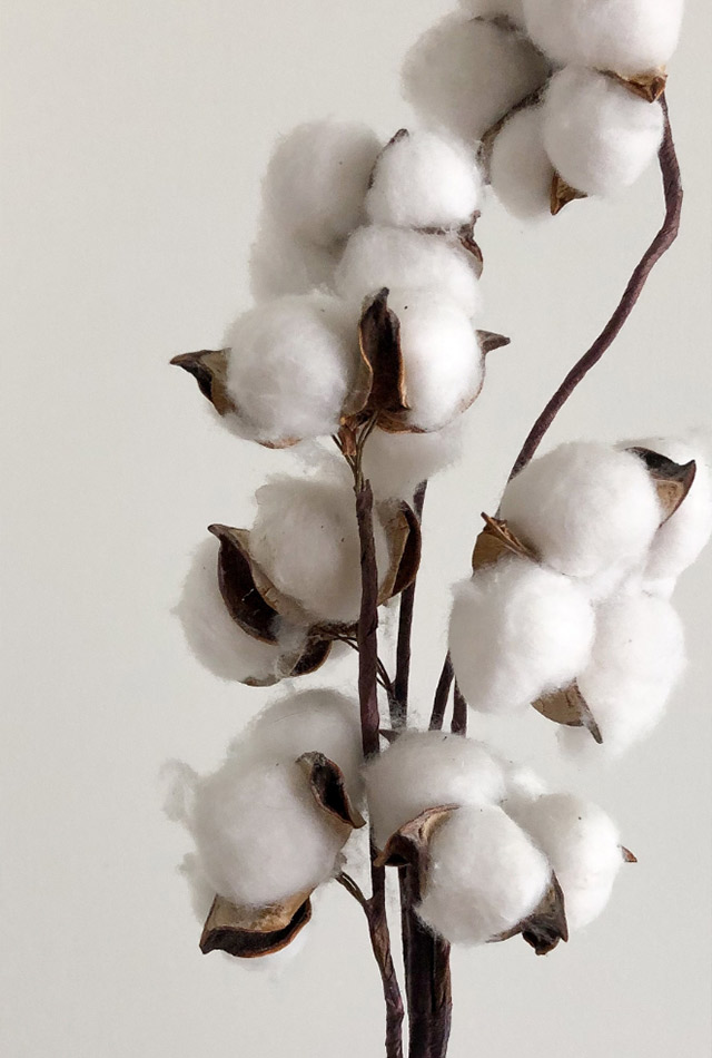 Completo lenzuola Lowell Salvia – le vie del cotone